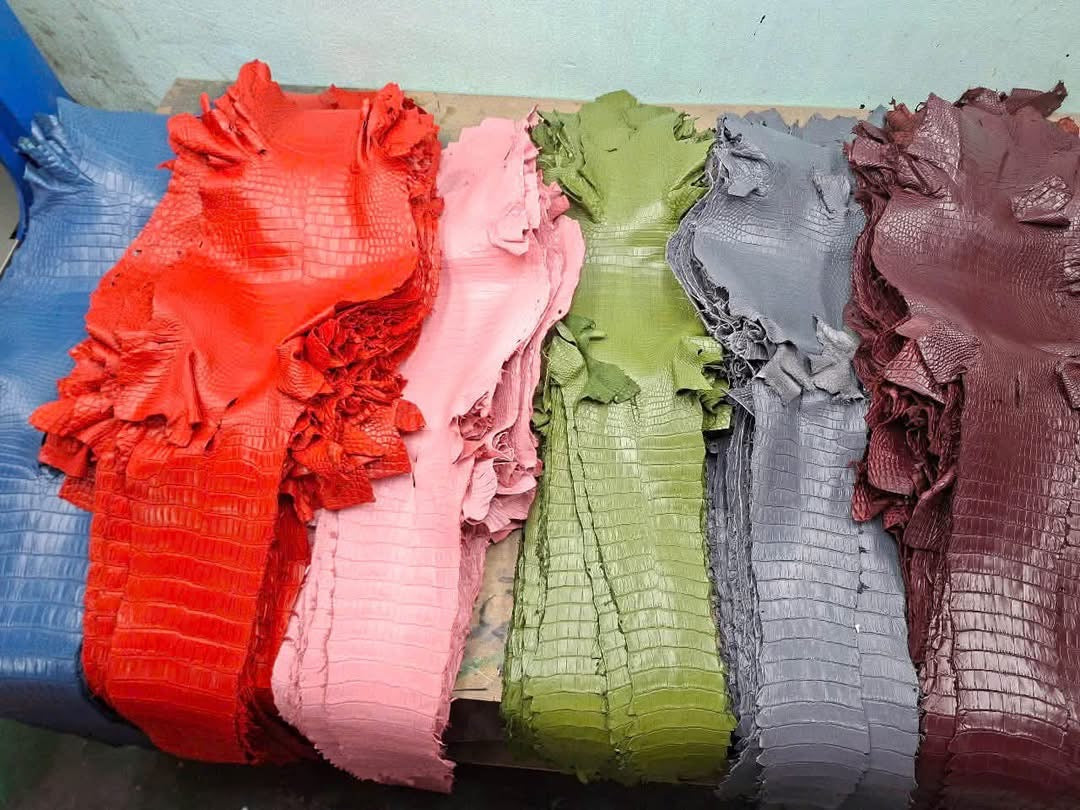 Alligator Leather