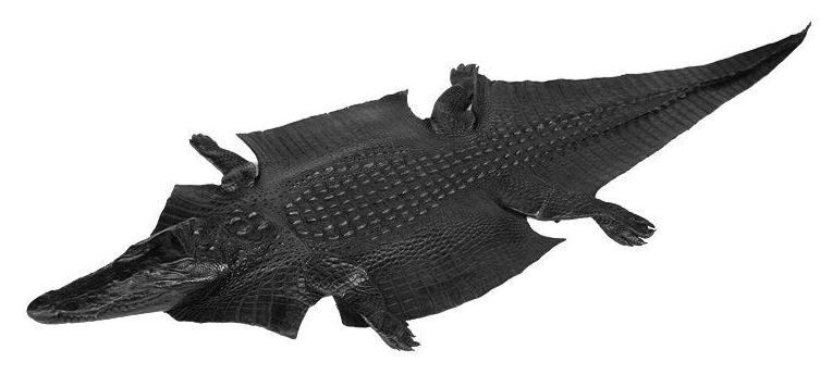 Brown Genuine Alligator ,CROCODILE Skin Leather Men's Zipper Wallets Purse #0401
