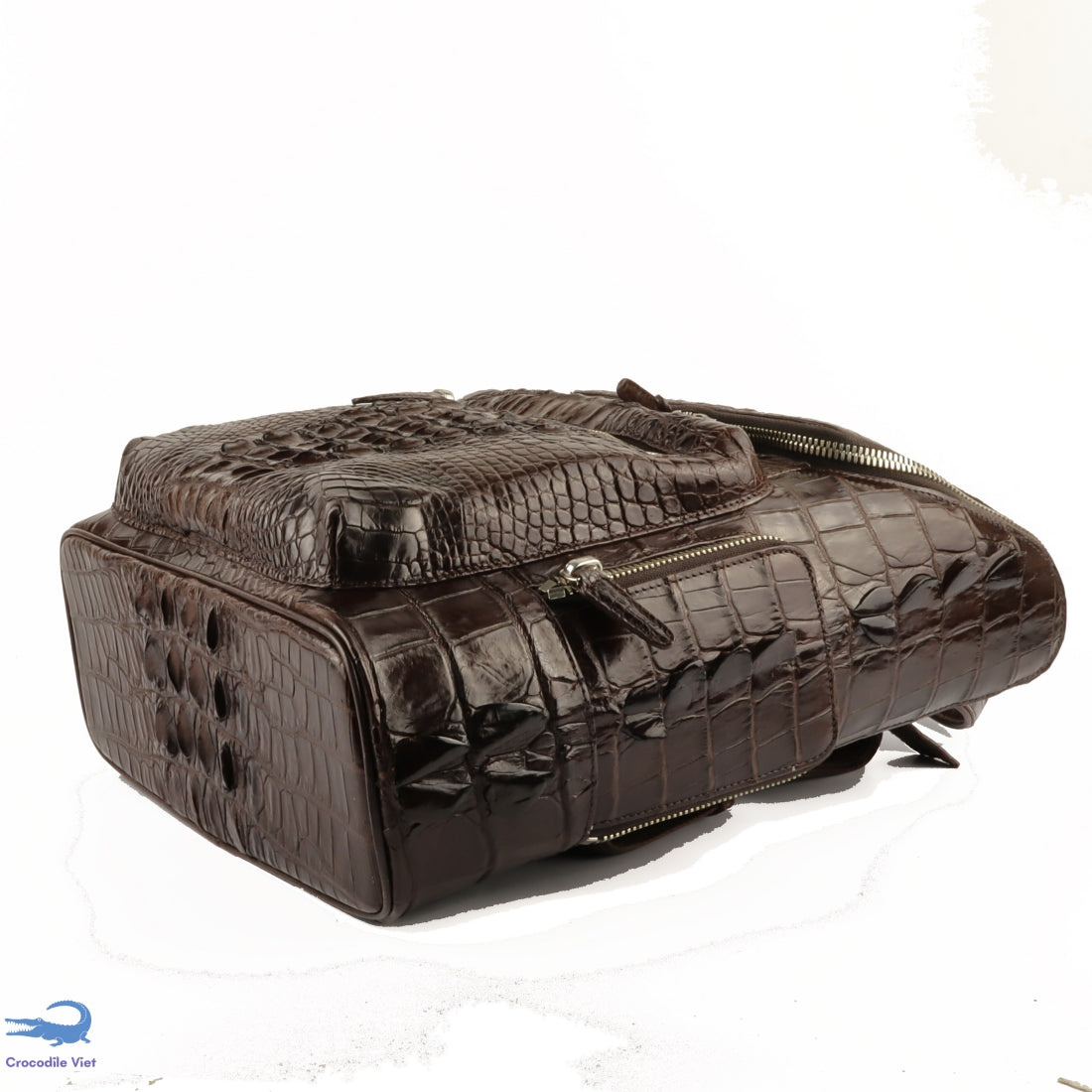 Crocodile Skin Backpacks – Tote&Carry